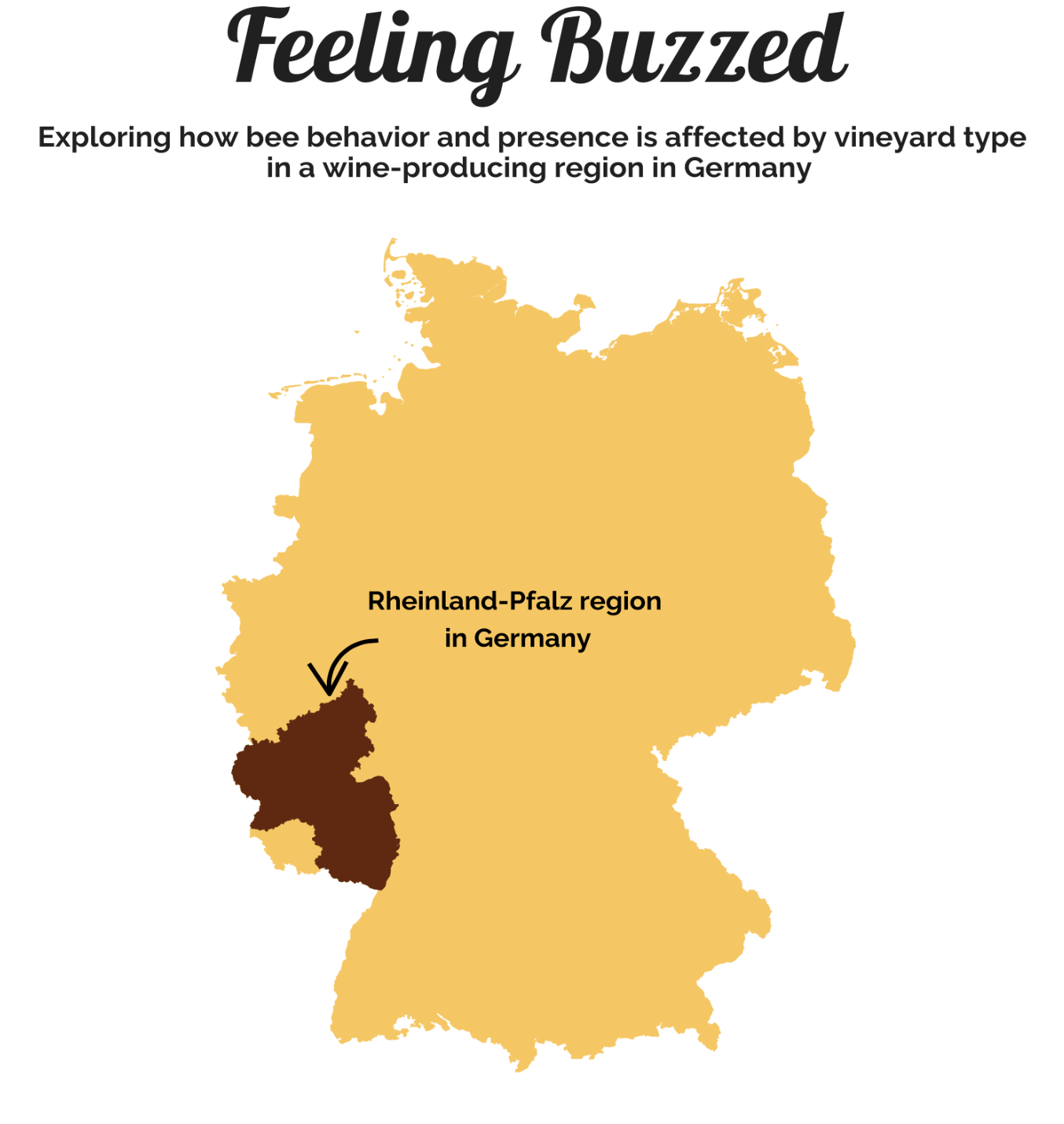 Map of Rheinland-Pfalz region in Germany in dark brown, with a map of Germany in yellow surrounding it.